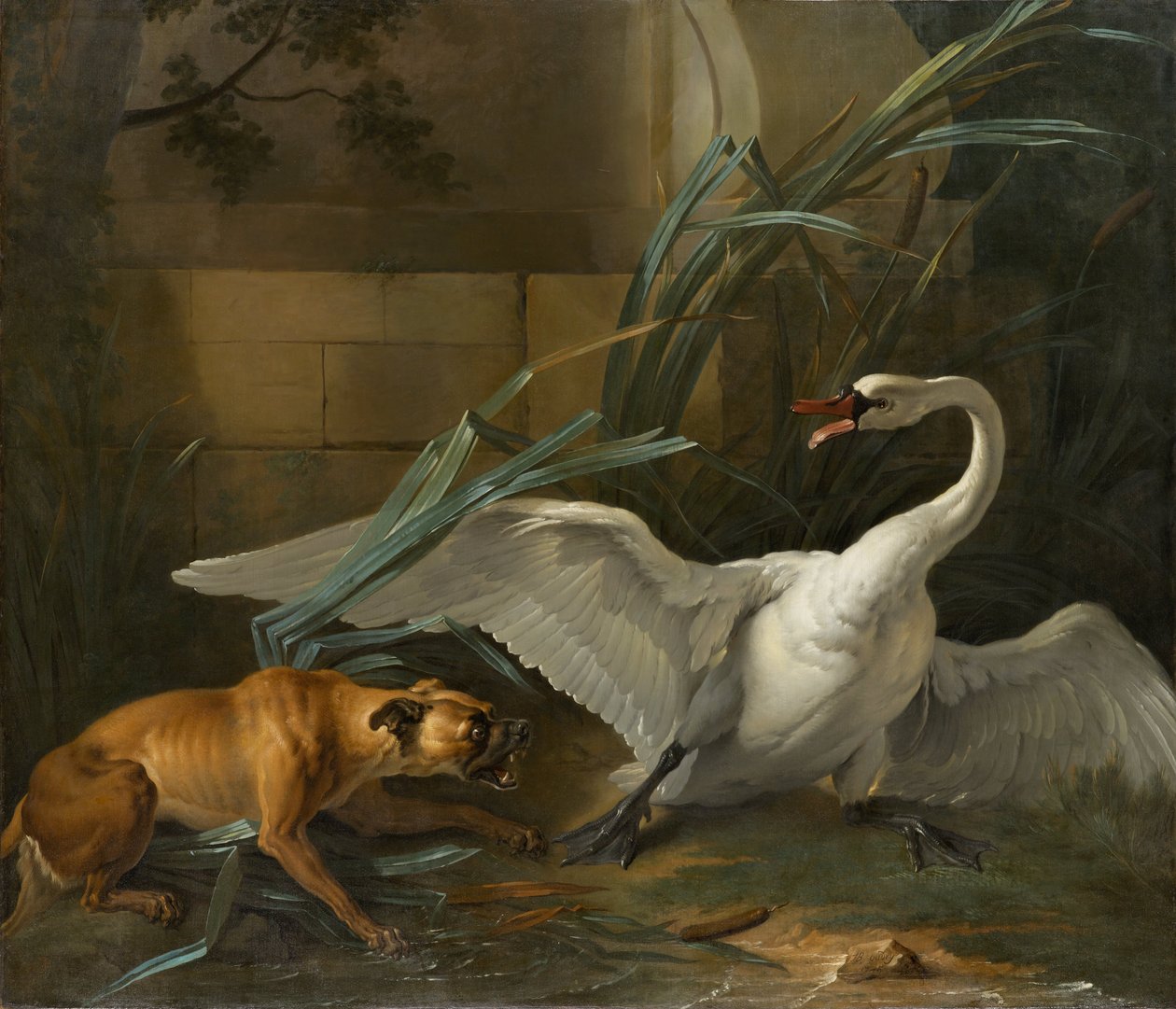 Cygne attaqué par un chien - Jean Baptiste Oudry