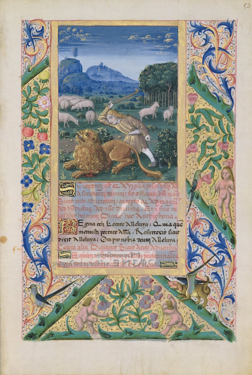 Ms Lat. Q.v.I.126 f.53 David défendant les moutons de son père contre un lion, du 