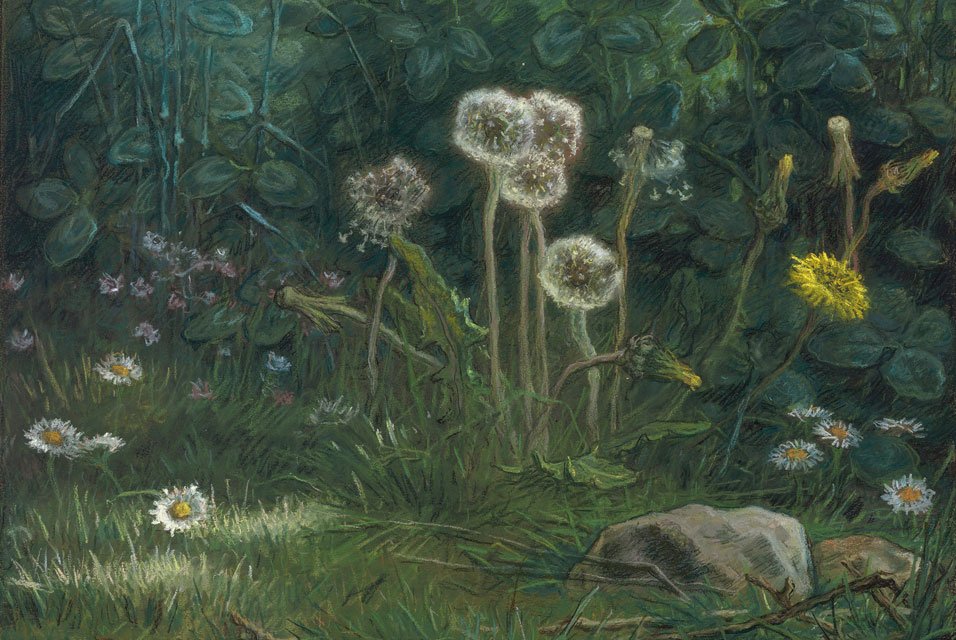 Pissenlits - Jean Francois Millet