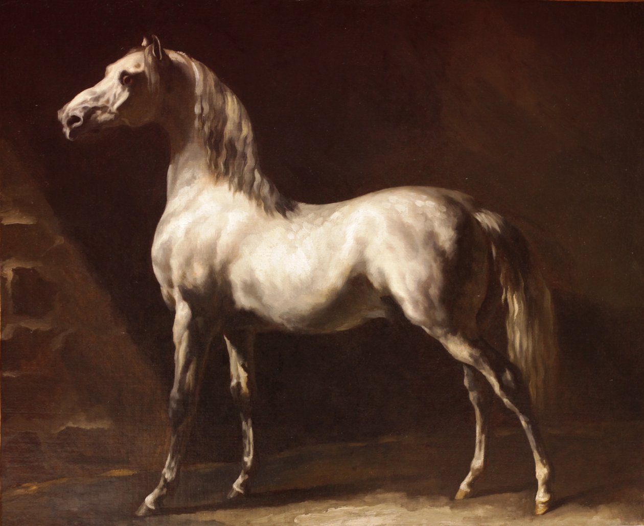 Cheval arabe gris-blanc - Theodore Gericault