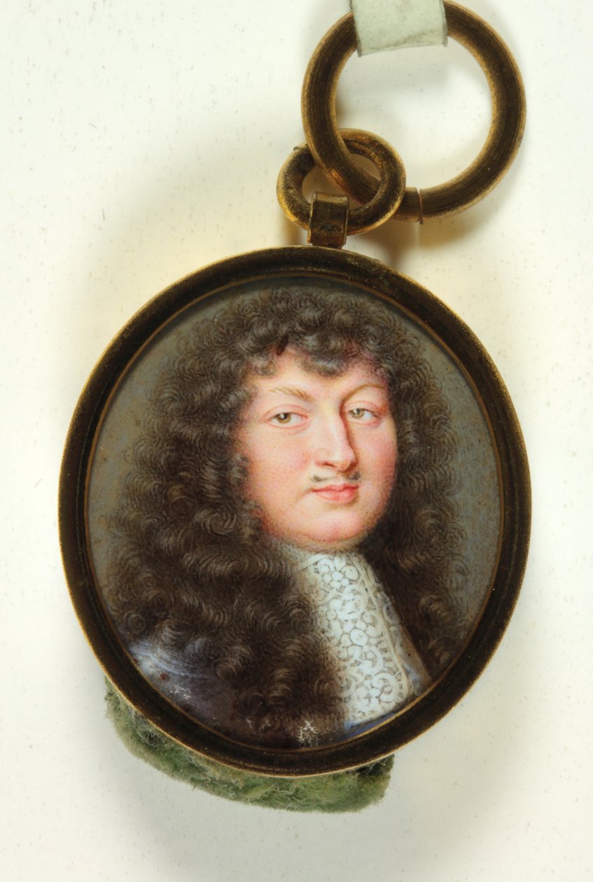 Louis XIV - Jean Adam Mathieu
