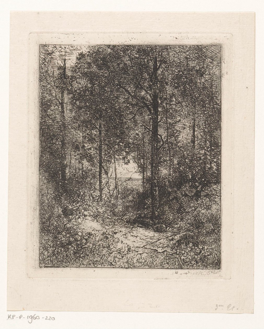 Paysage forestier - Jean Alexis Achard