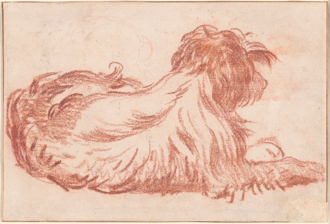 Un chien - Jean Baptiste Greuze
