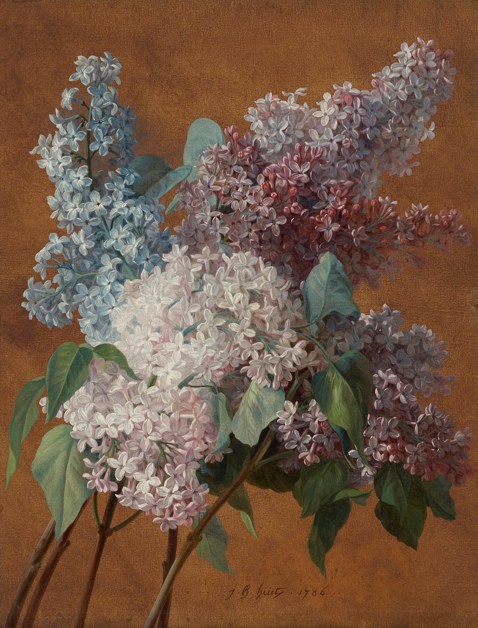 Une étude sur les lilas - Jean Baptiste Huet