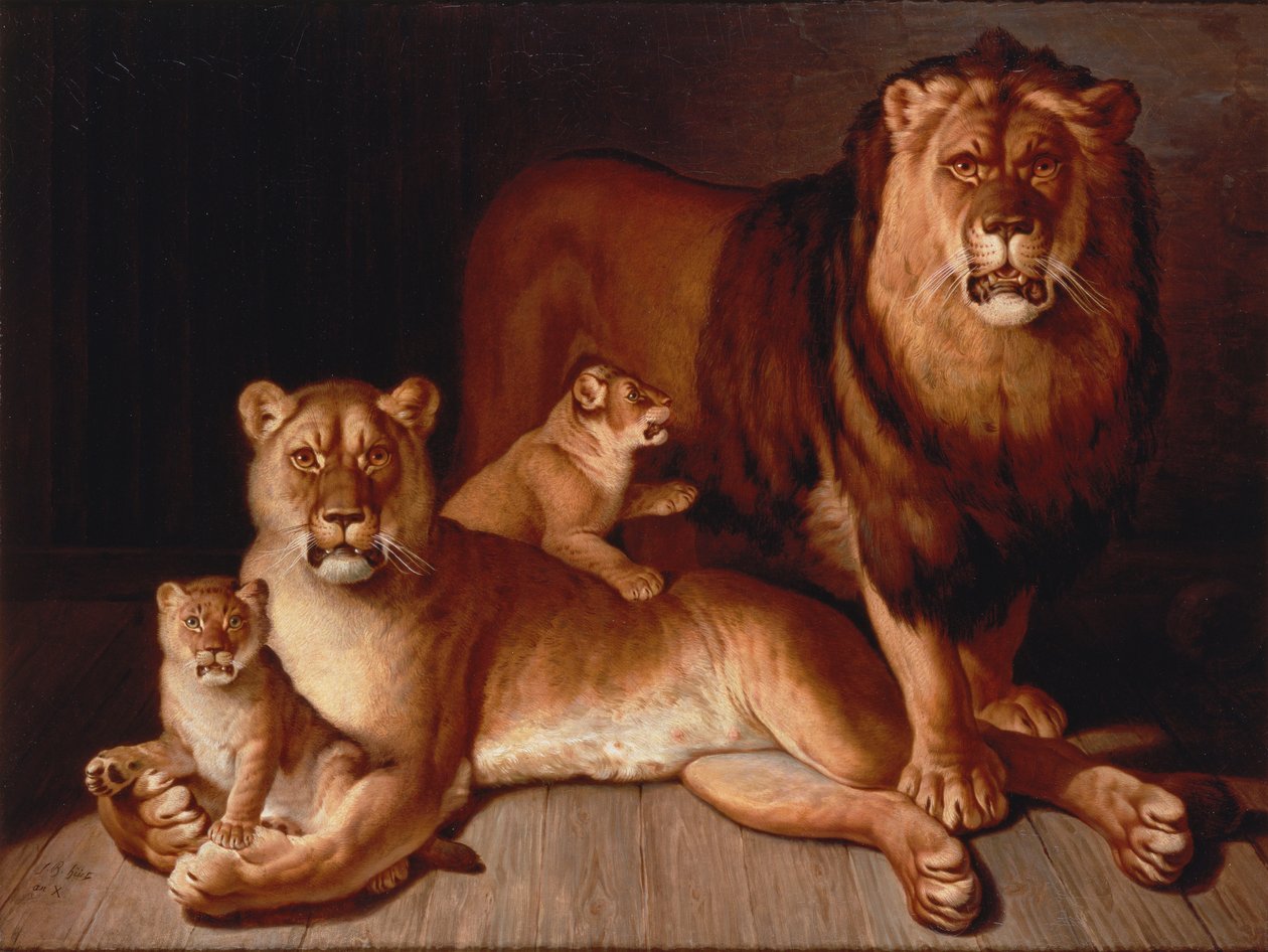Fierté des lions - Jean Baptiste Huet