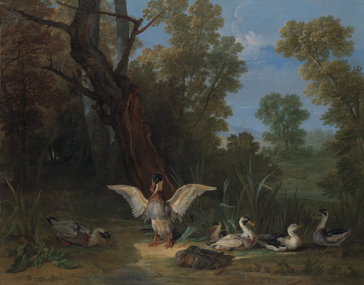 Canards se reposant au soleil - Jean Baptiste Oudry