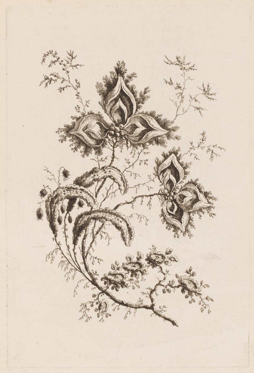 Branche de fleur, de "Fleures Persannes" - Jean Baptiste Pillement