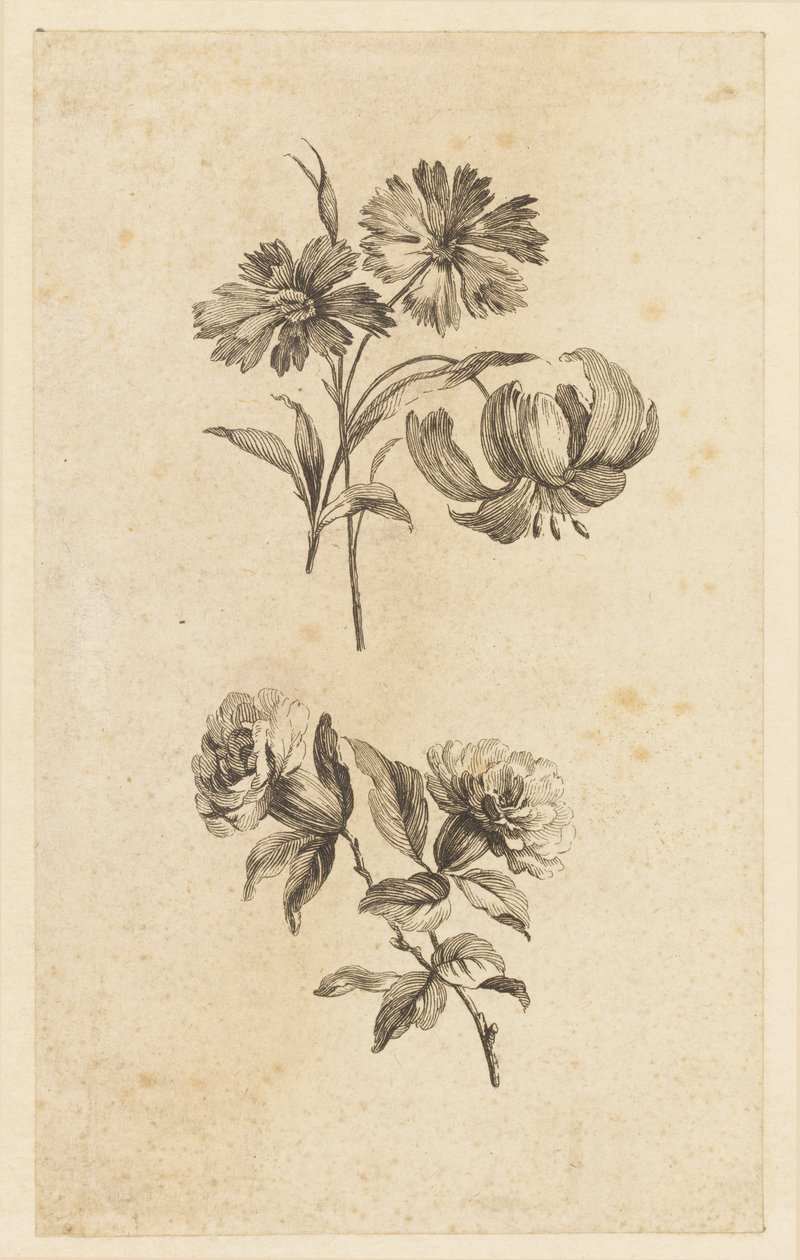 Deux branches de fleurs - Jean Baptiste Pillement