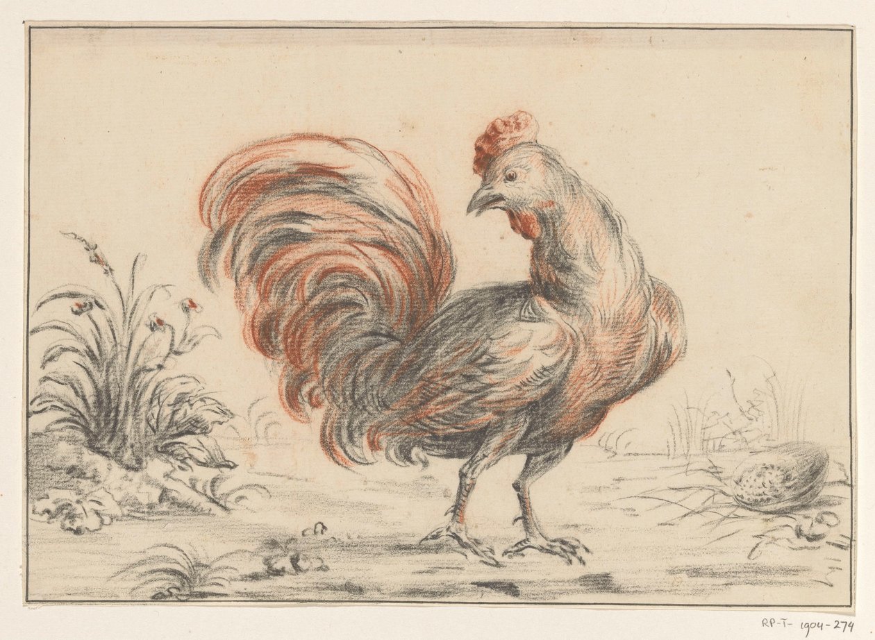 Coq - Jean Bernard