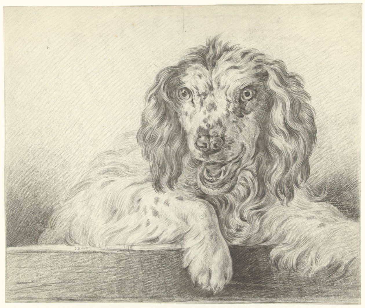 Chien - Jean Bernard