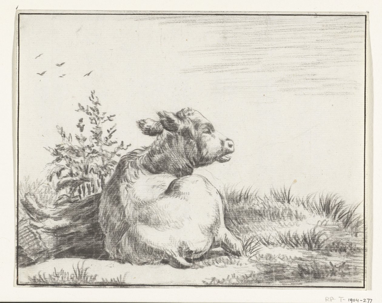 Vache couchée, de dos - Jean Bernard