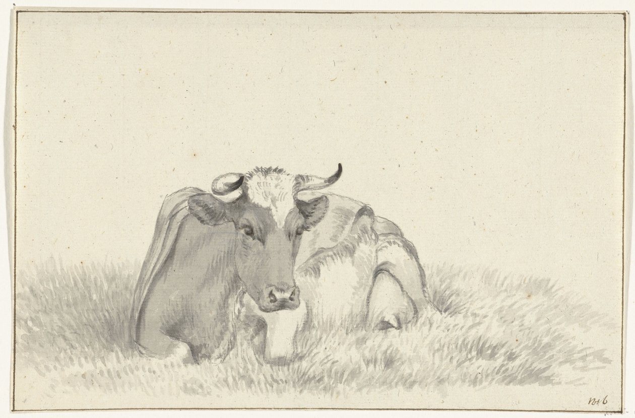 Vache couchée, de face - Jean Bernard