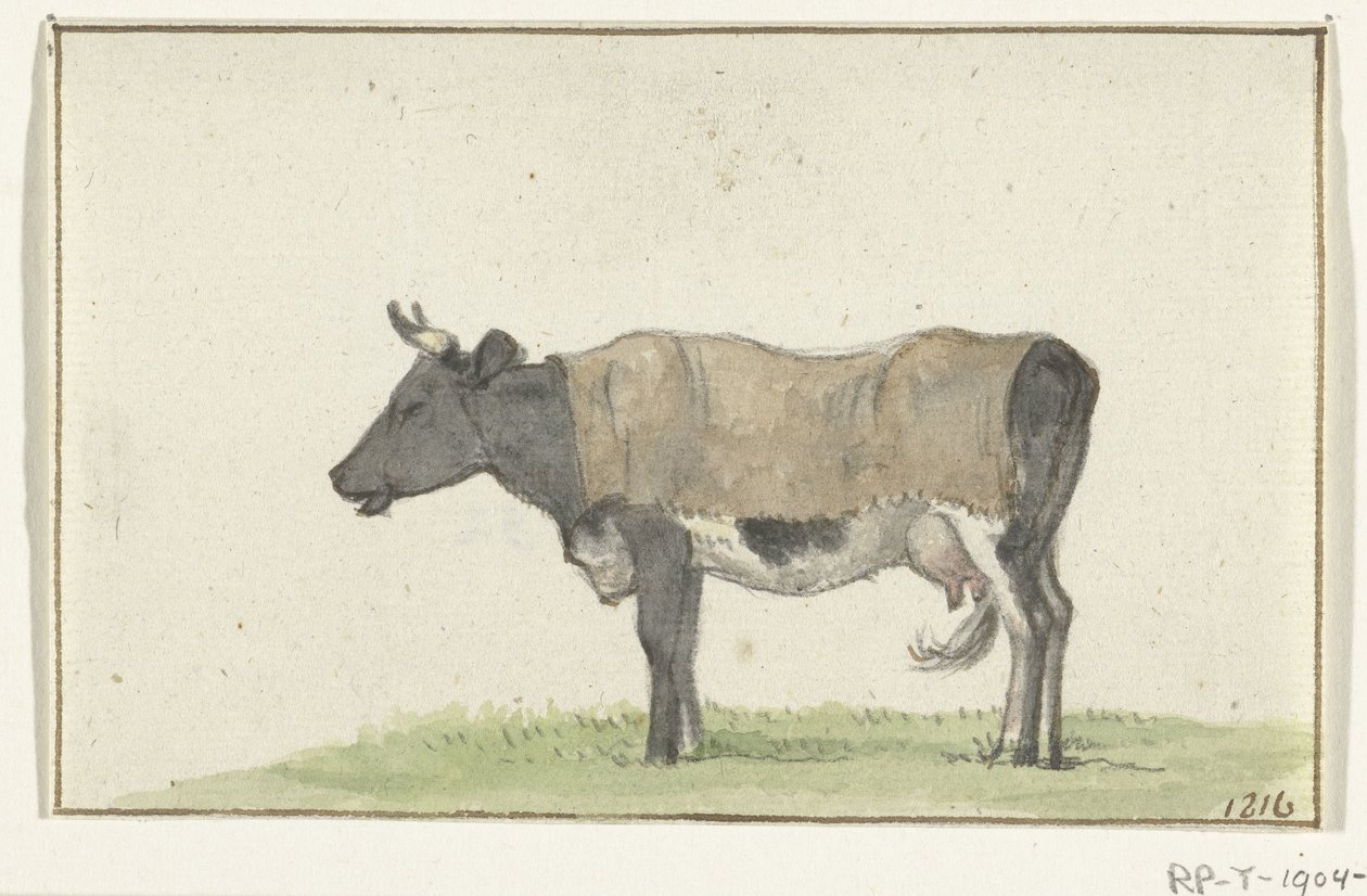 Vache debout avec une couverture, vers la gauche - Jean Bernard
