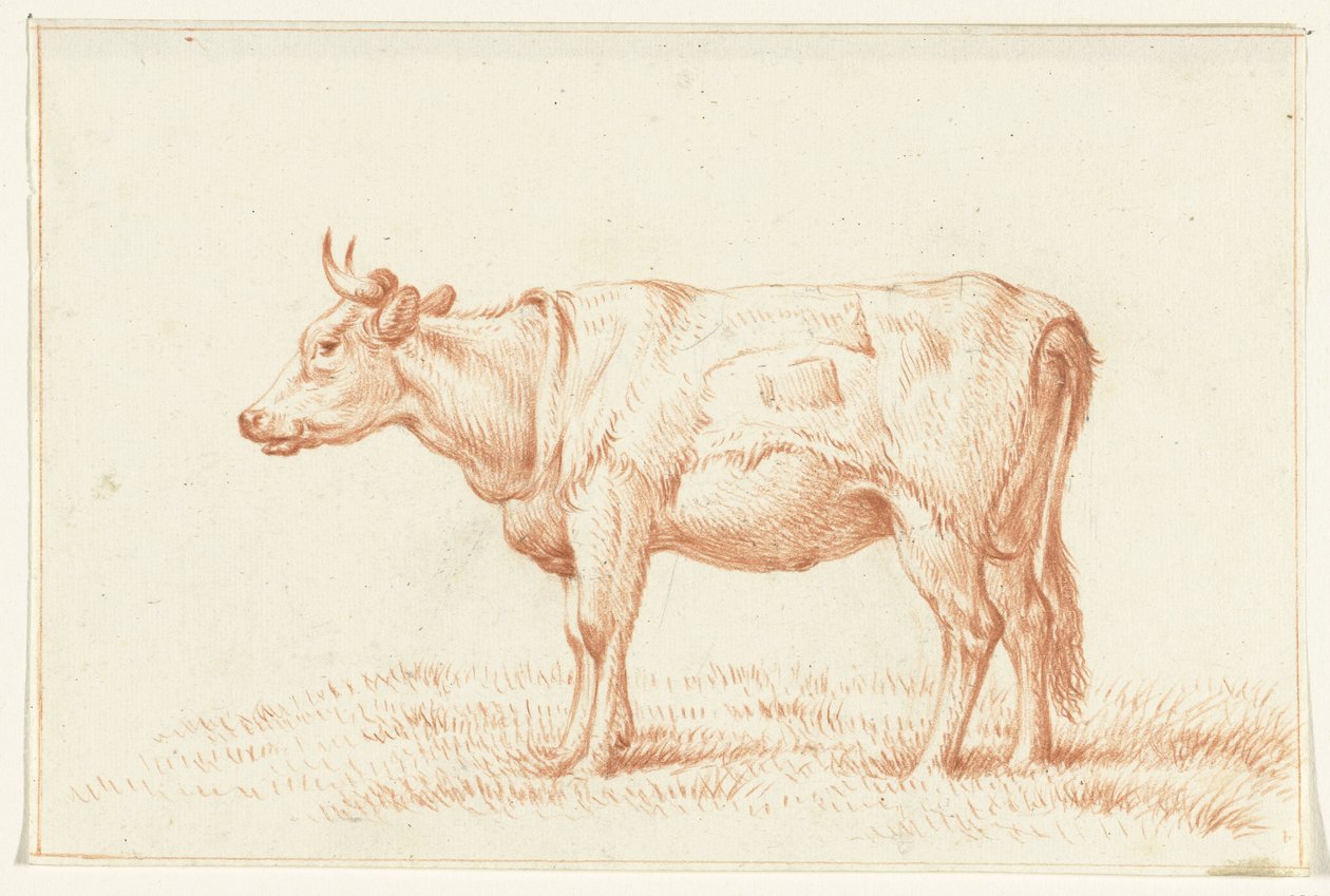 Vache debout, vers la gauche - Jean Bernard