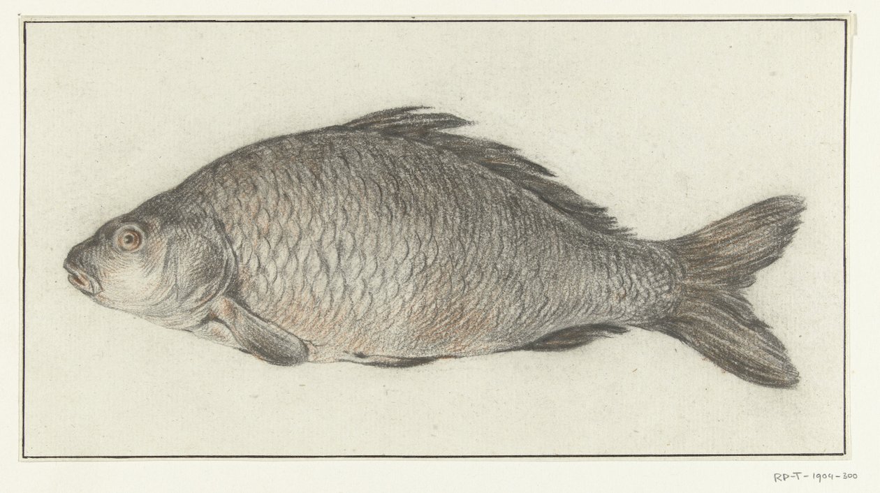 Poisson - Jean Bernard