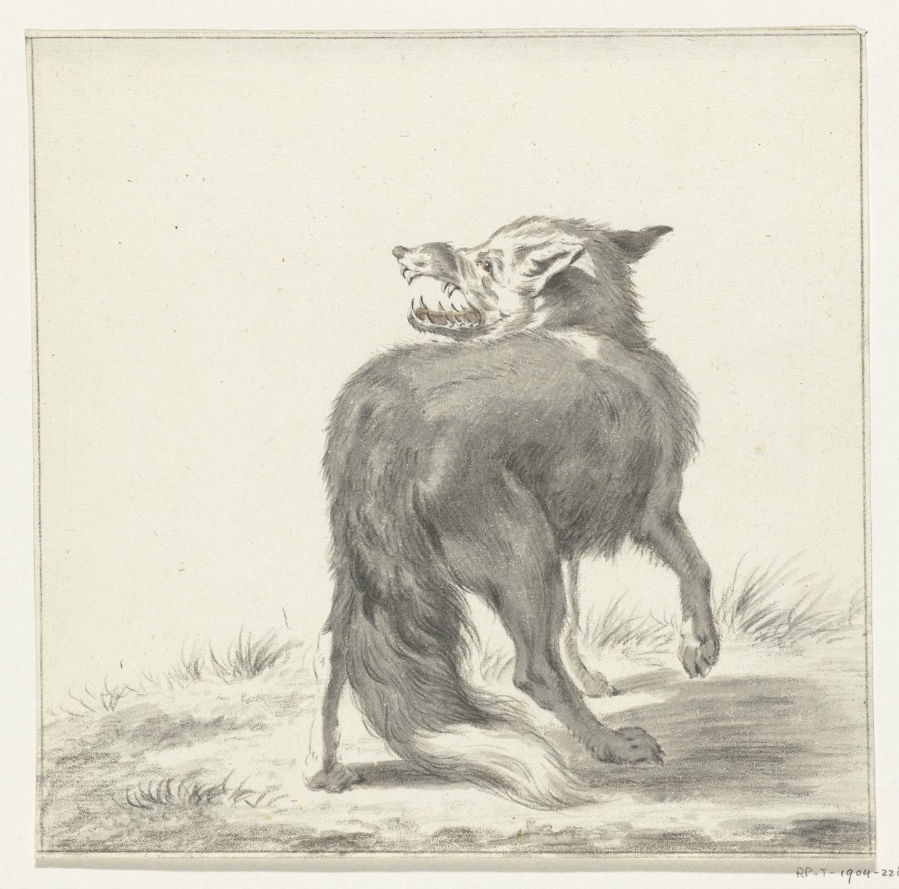 Renard - Jean Bernard