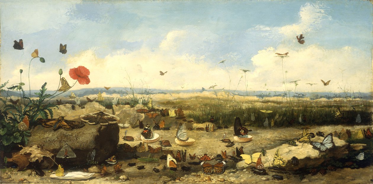 La course des papillons, 1872 - Jean Eugene Doneaud