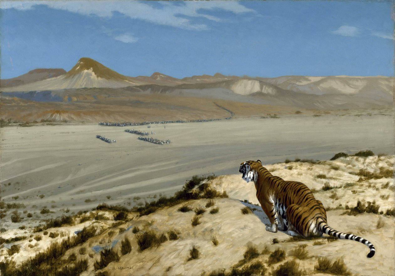 Le tigre à l