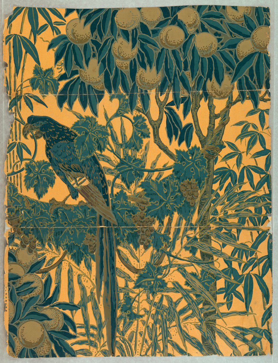 Panneau mural, Ara, 1908 - Jeffrey