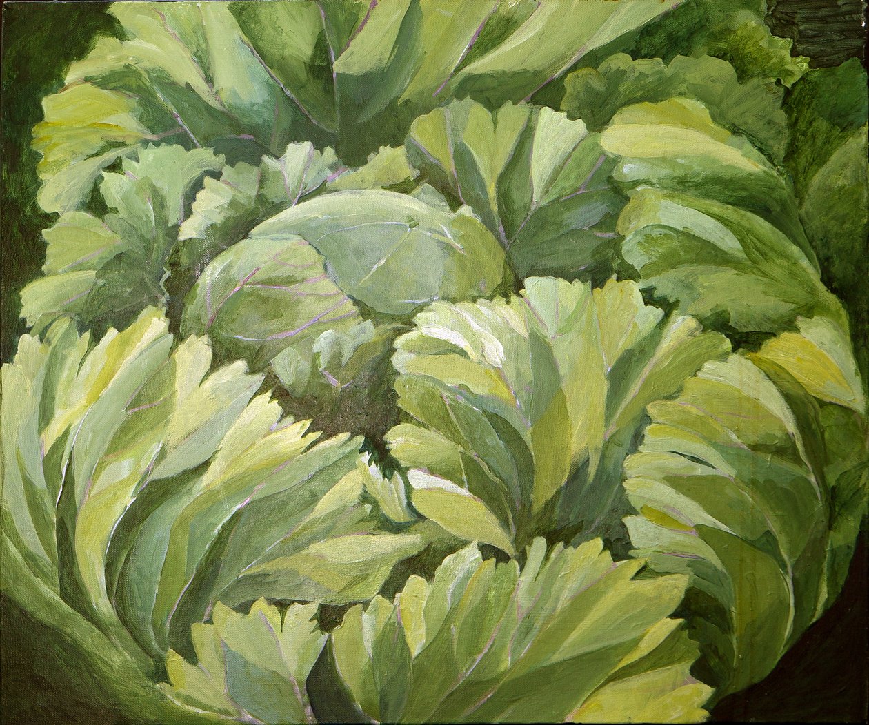 Chou, 2013 (acrylique sur toile) - Jennifer Abbott