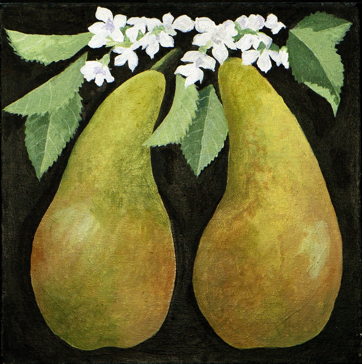 Poires, 2013 (acrylique sur toile) - Jennifer Abbott