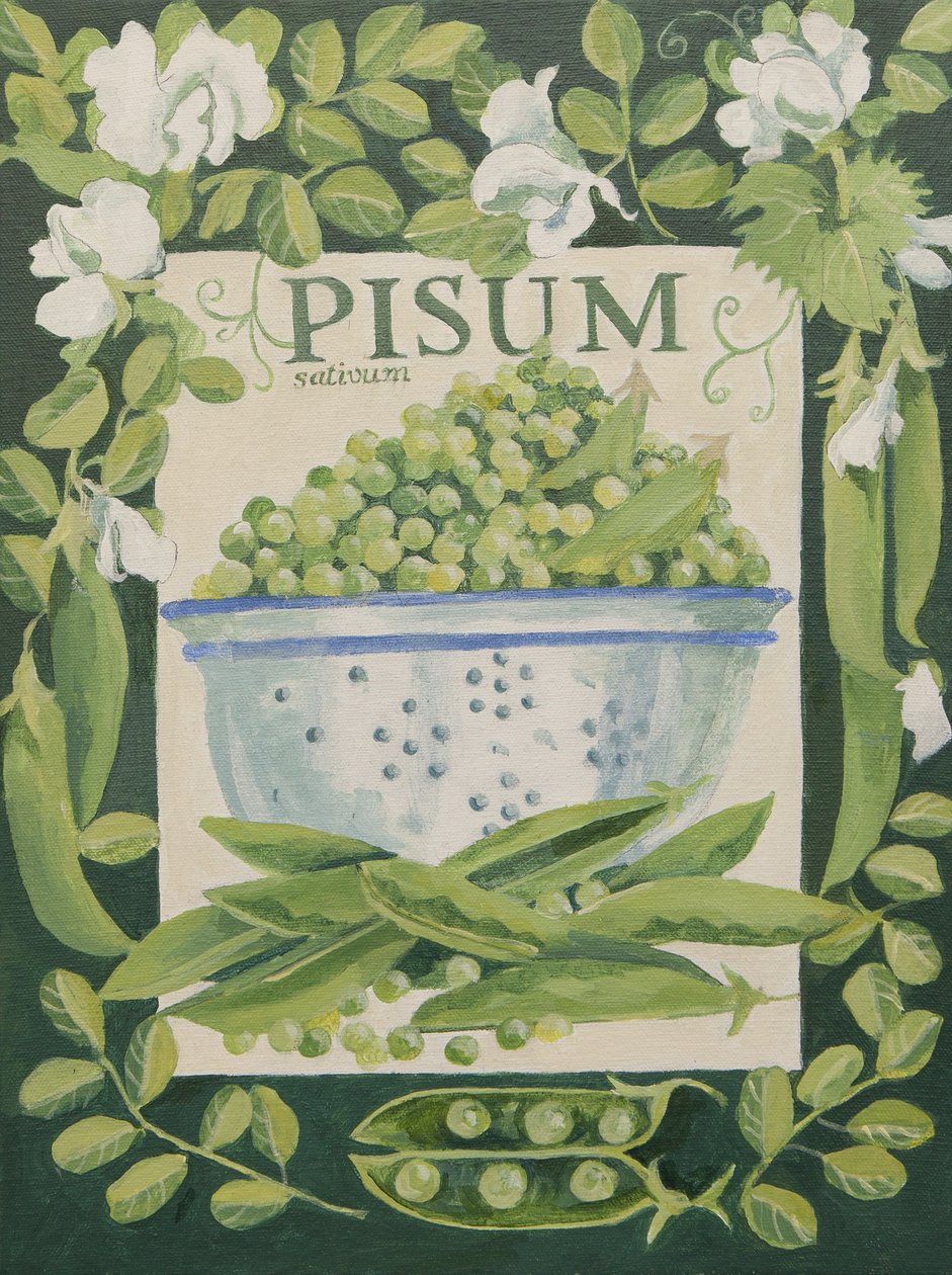 Pisum, Pois (acrylique) - Jennifer Abbott