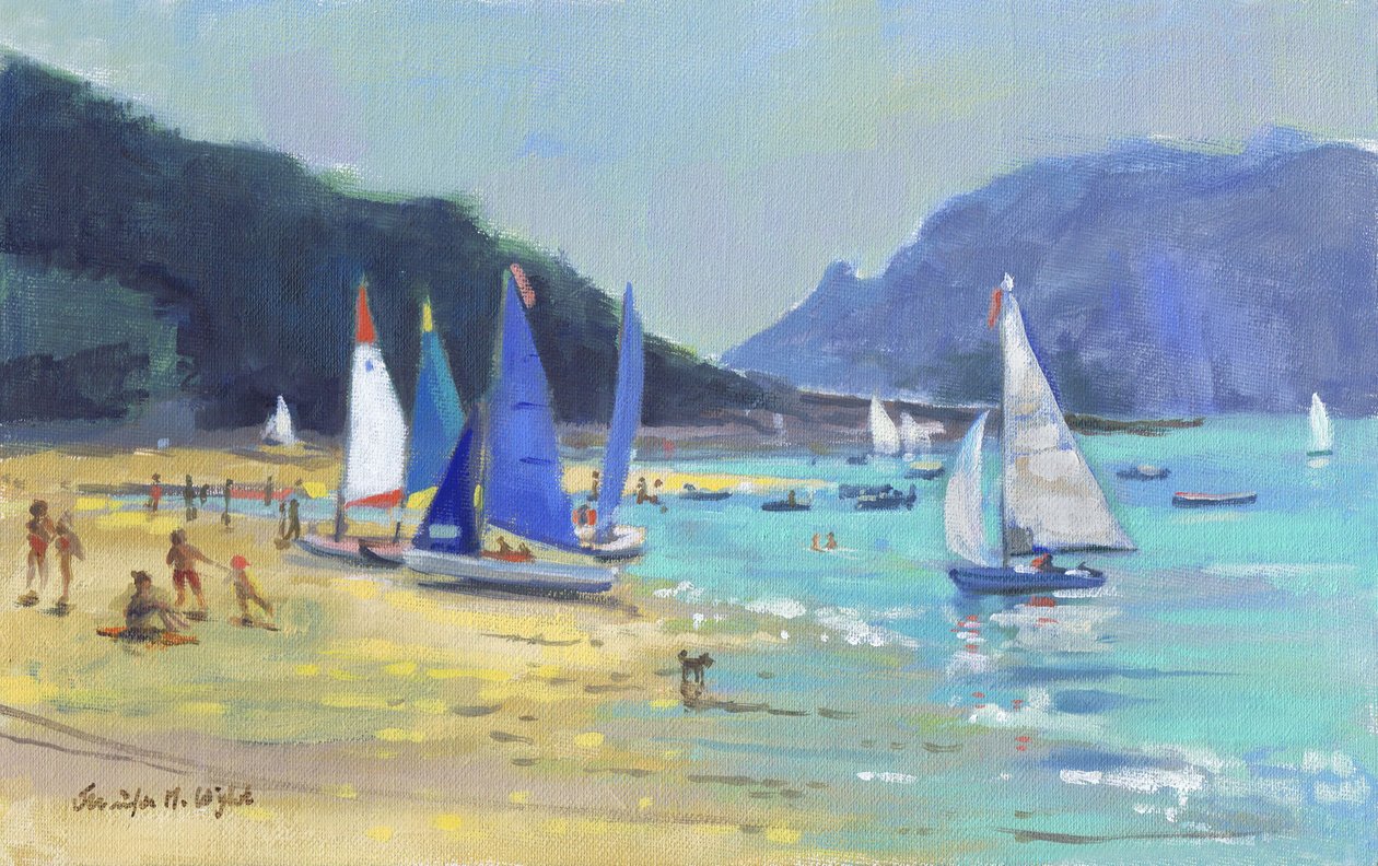 Bateaux à voile de Salcombe - Jennifer Wright