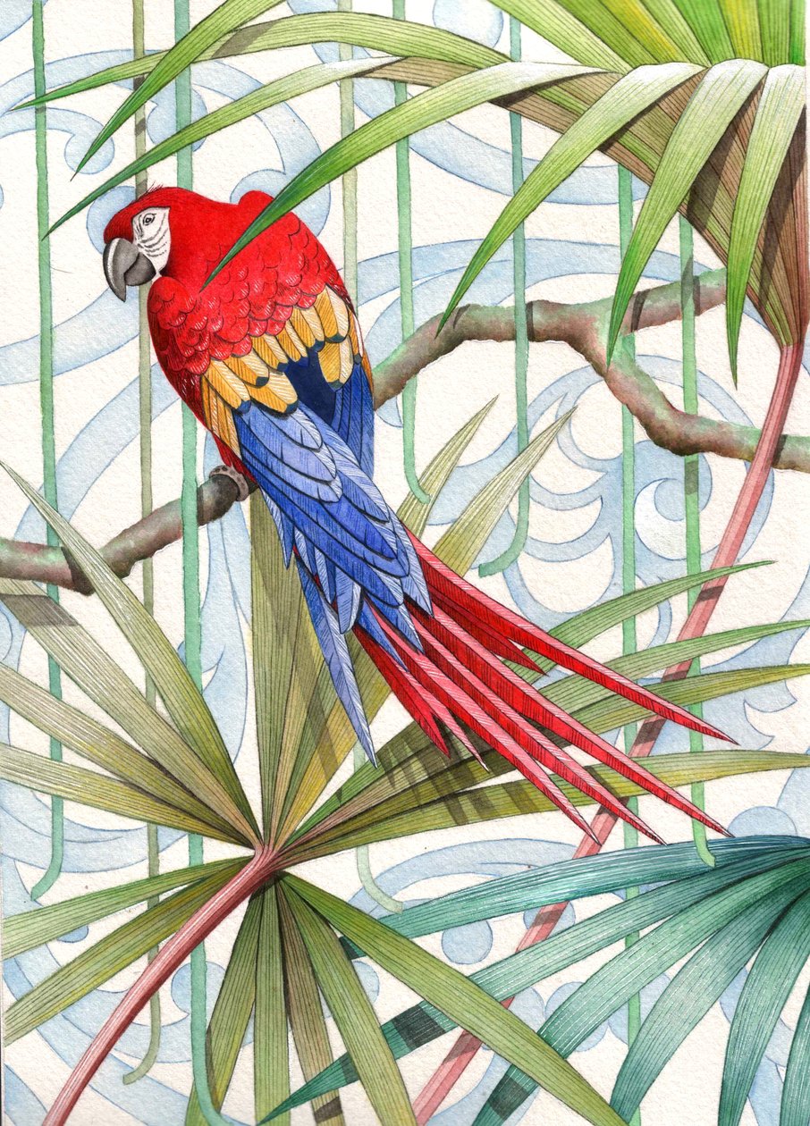 Perroquet, 2008 - Jenny Barnard
