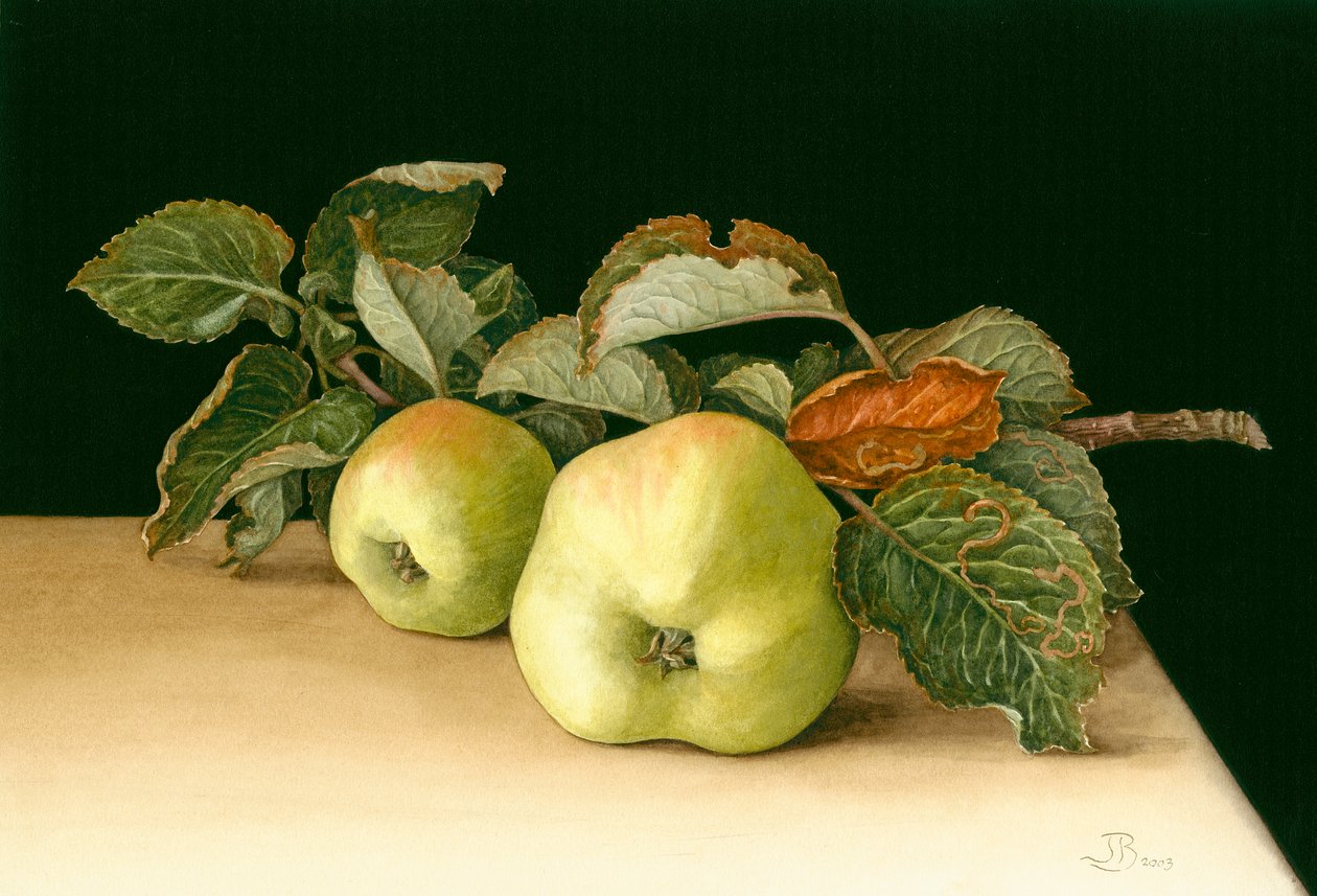 Bramleys - Jenny Barron