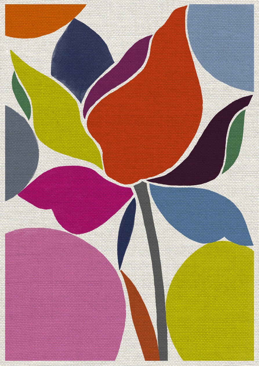 Tulipe imprimée - Jenny Frean