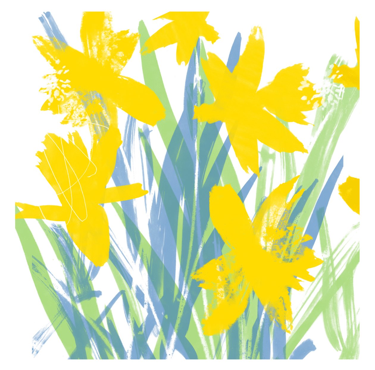 Jonquilles de printemps - Jenny Frean