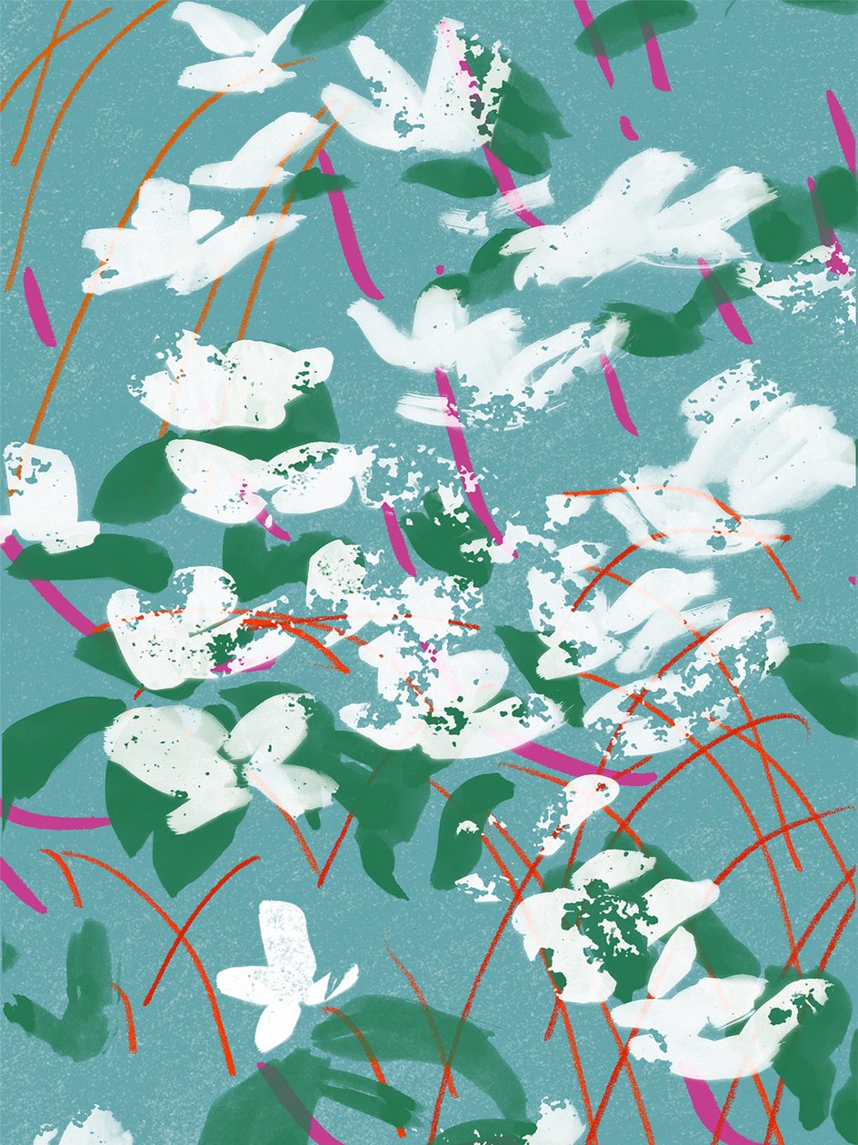 Contes turquoise - Jenny Frean