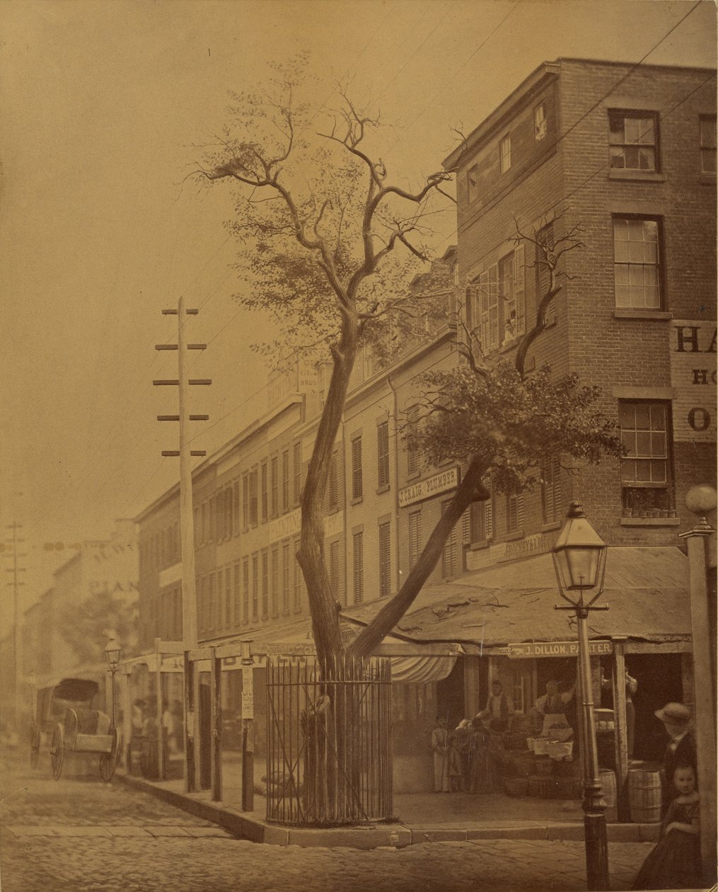 Le poirier de Stuyvesant - Jeremiah Gurney