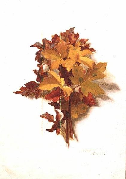 Novembre (d