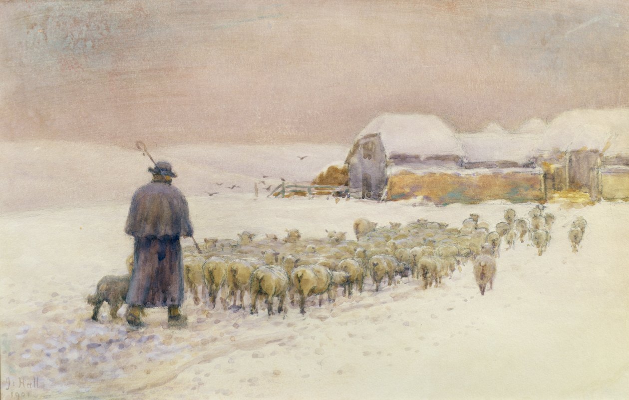 Rentrer le troupeau, 1901 - Jessie Hall