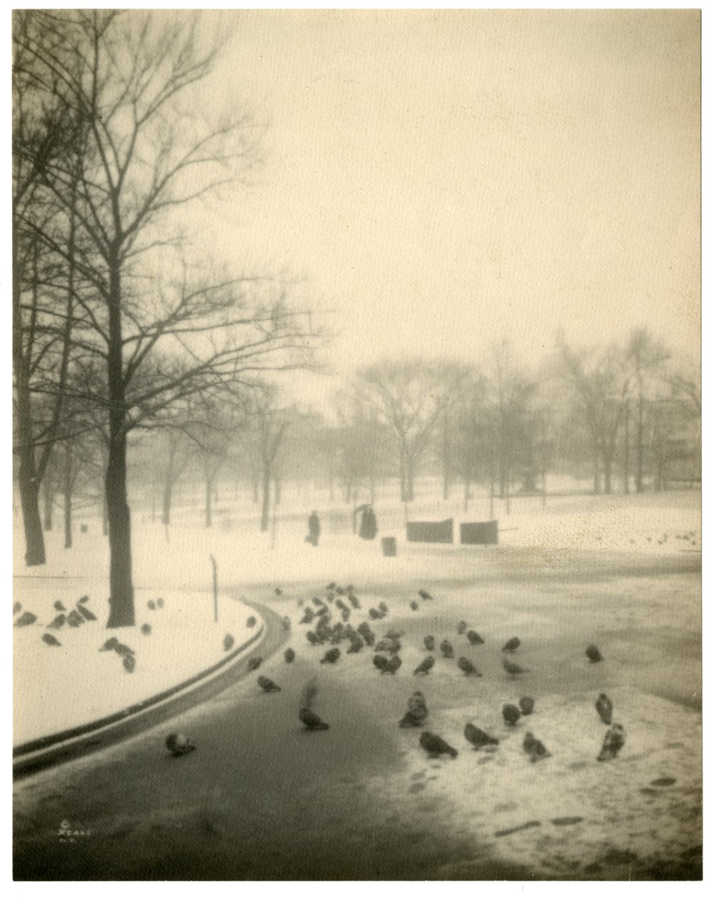 Boston Common, Boston, USA, c.1902-10 - Jessie Tarbox Beals
