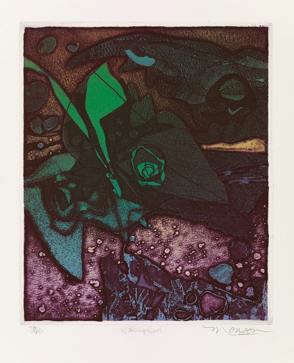 Nénuphar - Jim Monson