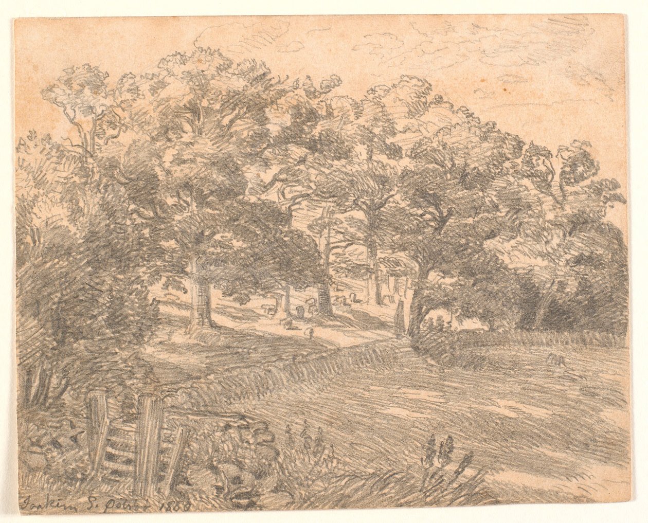 Une lisière de forêt - Joakim Frederik Skovgaard