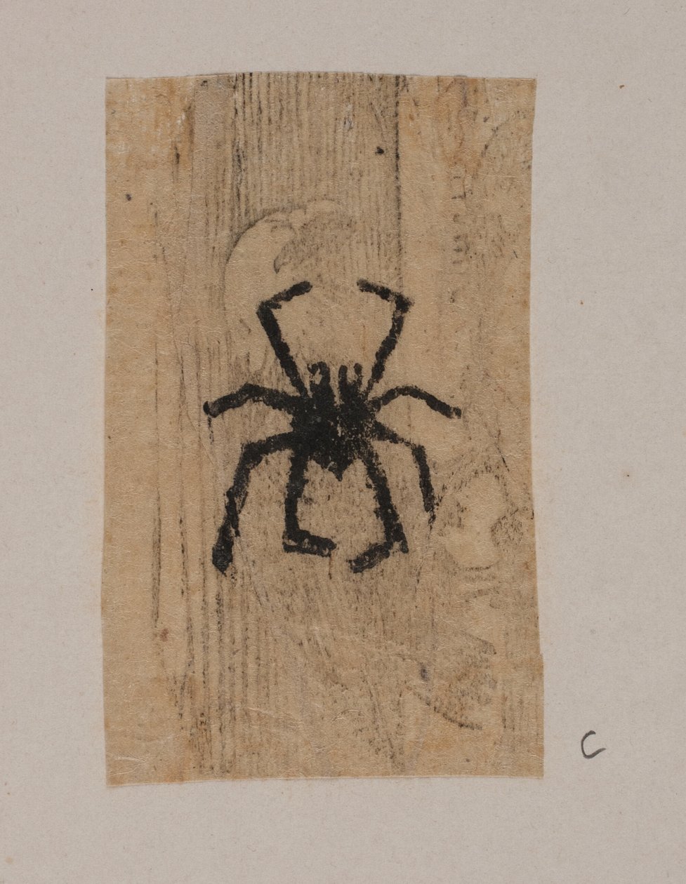 Insecte - Joakim Frederik Skovgaard