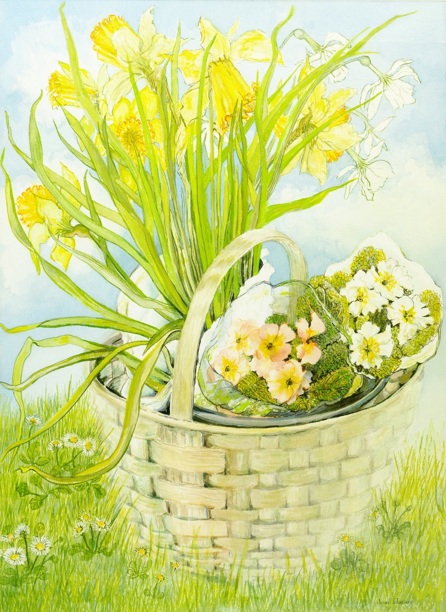 Jonquilles et primevères dans un panier - Joan Thewsey