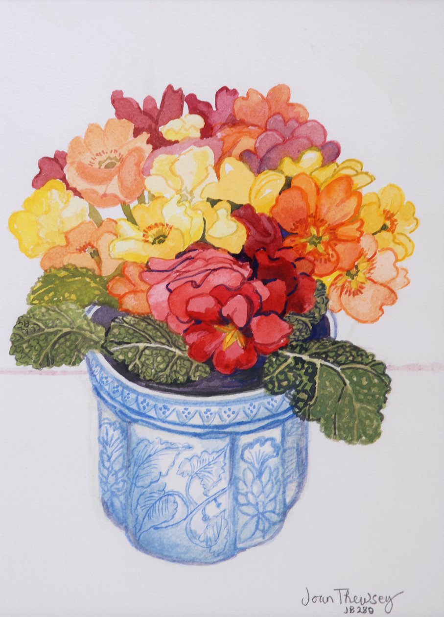 La Primevère multicolore 2011 - Joan Thewsey