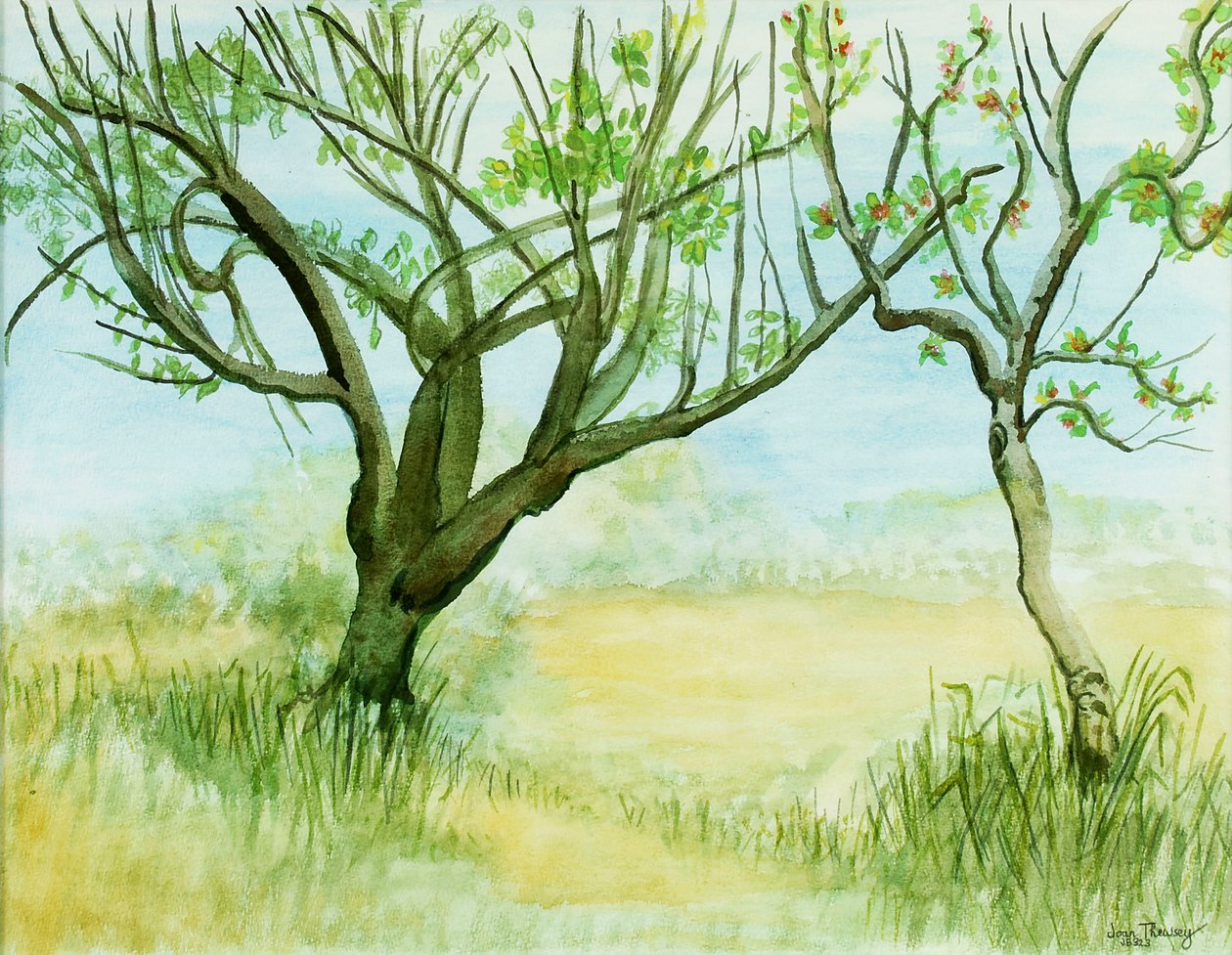 Paysage de début de printemps, avec deux arbres - Joan Thewsey