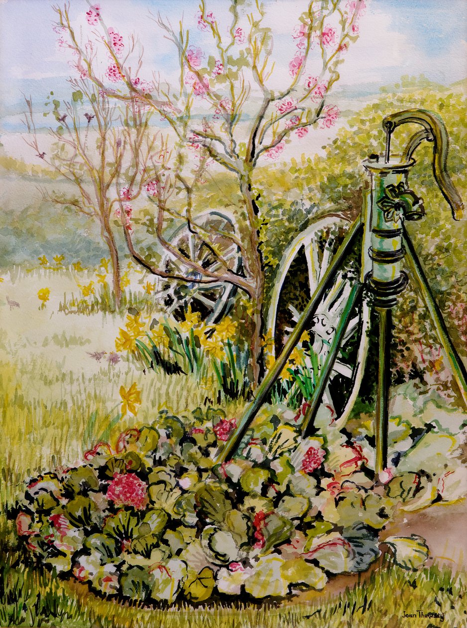 La pompe de jardin - Joan Thewsey