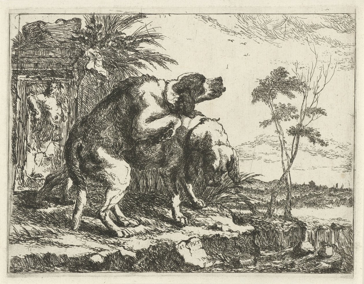 Deux chiens s