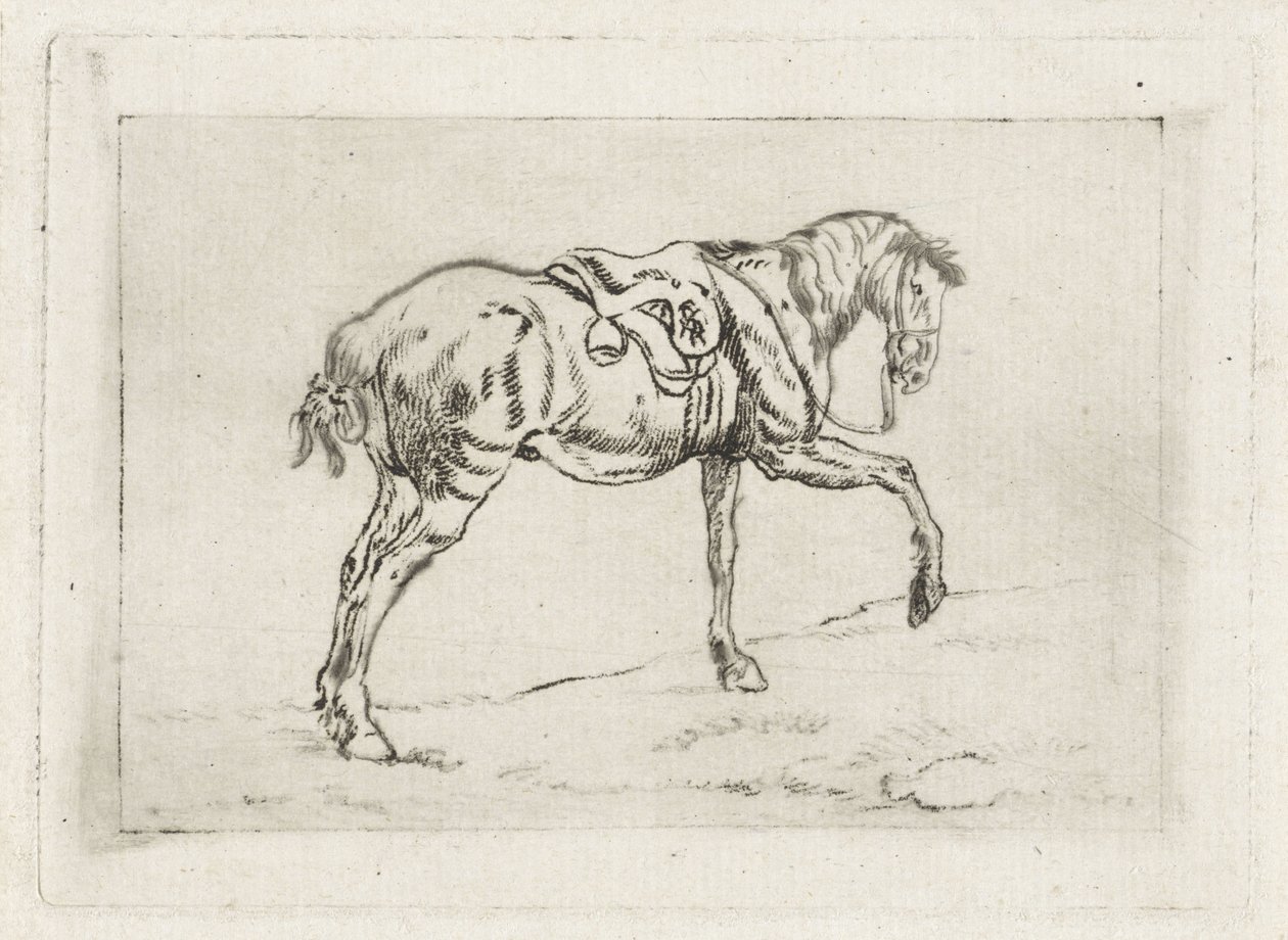 Cheval sellé - Joannes Pieter Visser Bender