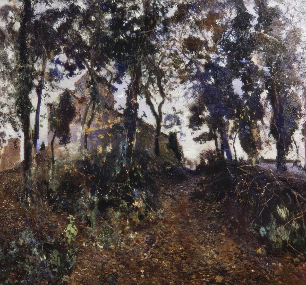 Jardin - Joaquim Mir i Trinxet