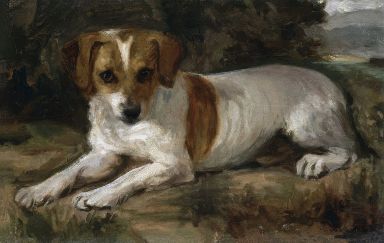 Chien - Joaquín Sorolla