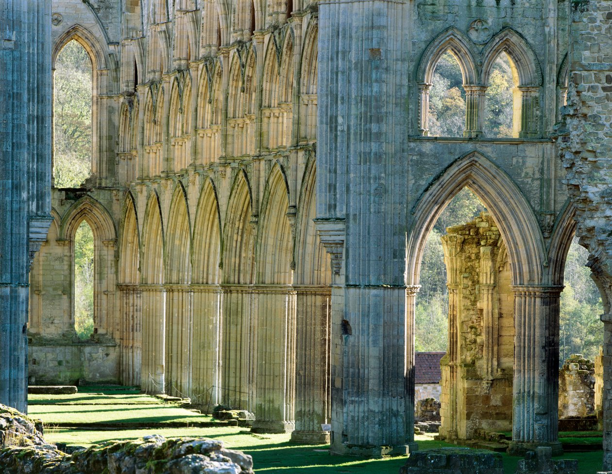 Abbaye de Rievaulx, vers 1990-2010 - Joe Cornish