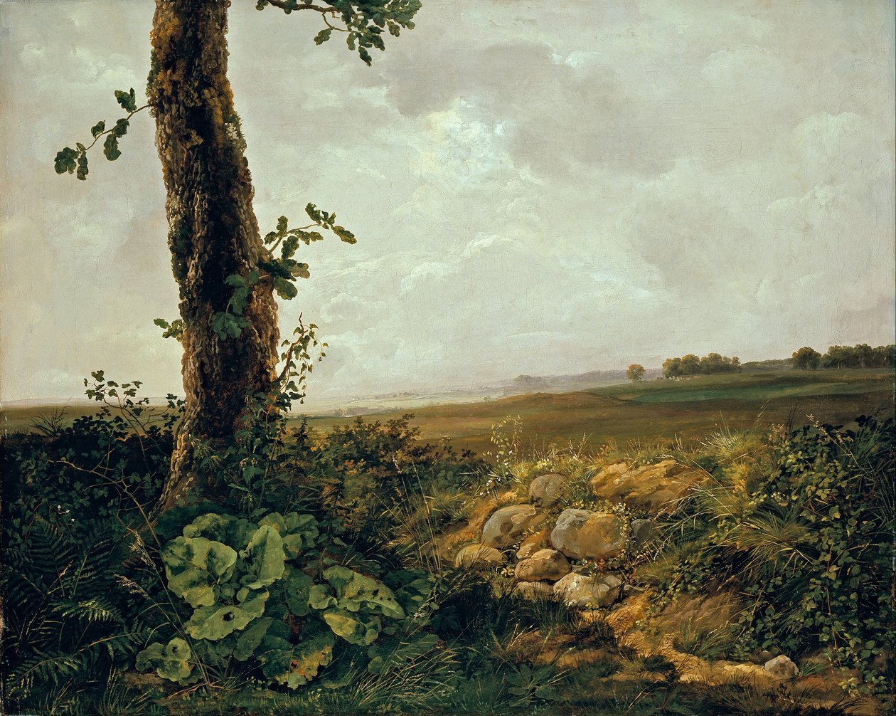 Vue près de Prestø - Johan Christian Dahl