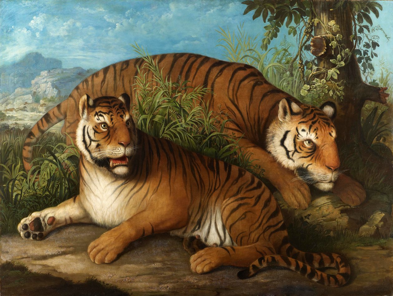 Tigres du Bengale royal - Johan Wenzel Peter